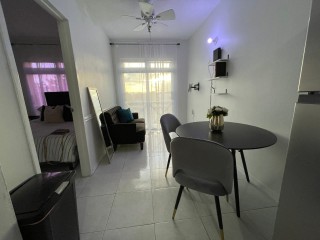 Apartment For Rent in New Kingston, Kingston / St. Andrew Jamaica | [4]