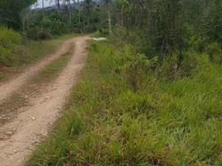 Residential lot For Sale in Wallens, St. Catherine Jamaica | [6]