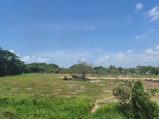 Residential lot For Sale in Wynters Pen, St. Catherine Jamaica | [10]