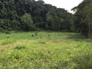 Residential lot For Sale in Chippenham Park Bamboo, St. Ann Jamaica | [4]