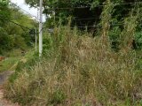 Residential lot For Sale in Stony Hill, Kingston / St. Andrew Jamaica | [3]