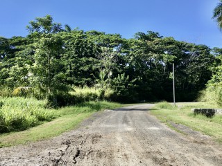 Residential lot For Sale in Drax Hall Estates, St. Ann Jamaica | [4]