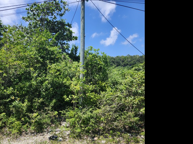 Residential lot For Sale in Rockmoor, St. Mary Jamaica | [6]