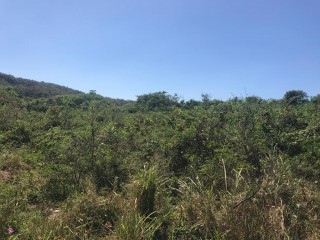 Resort/vacation property For Sale in Rio Bueno, Trelawny Jamaica | [2]