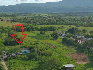 Land For Sale in Decoy Toll Gate, Clarendon, Jamaica