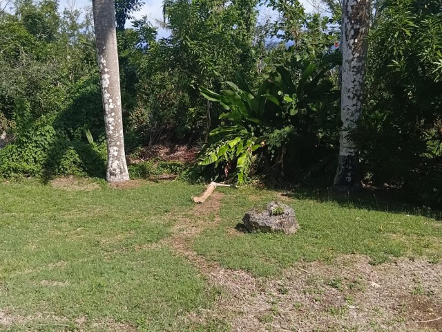 Residential lot For Sale in Great River, St. James Jamaica | [5]