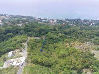 Residential lot For Sale in Whitehouse, Westmoreland Jamaica | [2]