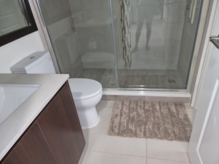 Apartment For Rent in Kingston 5, Kingston / St. Andrew Jamaica | [5]