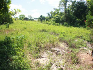 Development Land (Residential) For Sale in Santa Cruz, St. Elizabeth Jamaica | [1]