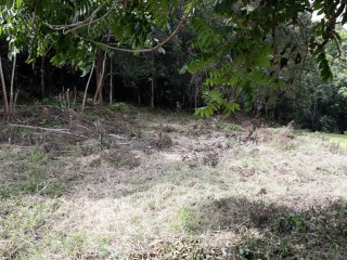 Residential lot For Sale in Ingleside Mandeville, Manchester Jamaica | [3]