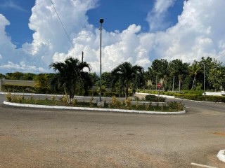Land For Sale in Lacovia, St. Elizabeth Jamaica | [3]