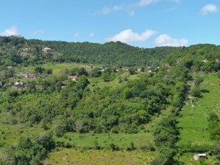 Land For Sale in Chudleigh Walderston PO, Manchester, Jamaica