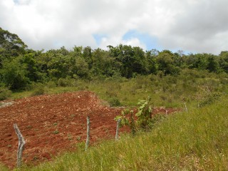 Land For Sale in Spur Tree, Manchester, Jamaica