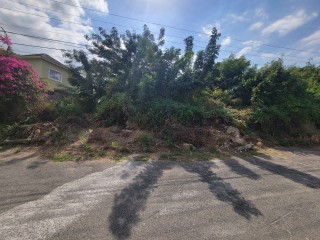 Residential lot For Sale in Pines of Karachi, Kingston / St. Andrew Jamaica | [3]