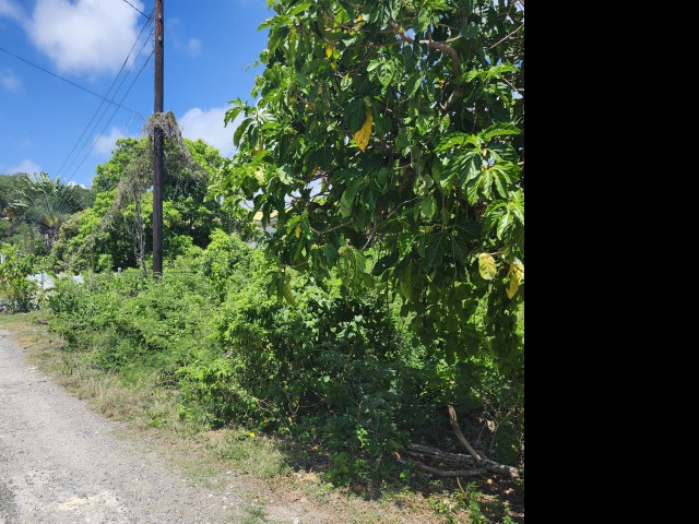 Residential lot For Sale in Rockmoor, St. Mary Jamaica | [4]