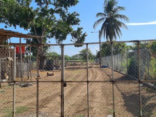 4 bed Commercial/farm land For Sale in Bushy Park, St. Catherine, Jamaica