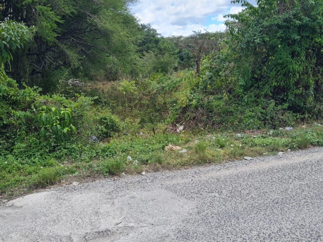 Development Land (Residential) For Sale in Black River, St. Elizabeth Jamaica | [3]