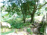 Residential lot For Sale in Golden Grove St Ann, St. Ann Jamaica | [2]