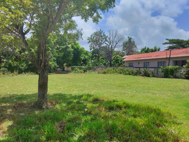 Land For Sale in Retreat, St. Thomas Jamaica | [9]
