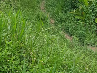 Commercial/farm land For Sale in St Andrew, Kingston / St. Andrew Jamaica | [4]