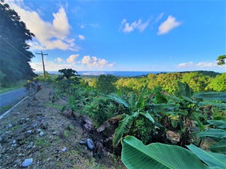 Residential lot For Sale in Cardiff Hall, St. Ann, Jamaica