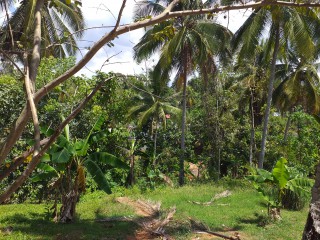 House For Sale in Waterloo, St. Catherine Jamaica | [3]