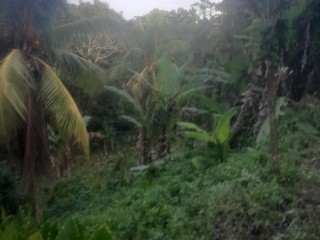 Commercial land For Sale - Gayle, St. Mary, Jamaica