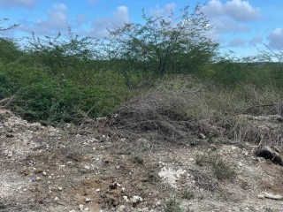 Residential lot For Sale in Hillrun, St. Catherine, Jamaica