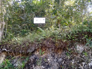 Residential lot For Sale in Windover, St. Catherine, Jamaica