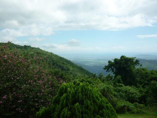 Land For Sale in Sligoville, St. Catherine, Jamaica