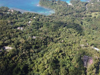 Resort/vacation property For Sale in San San, Portland Jamaica | [12]