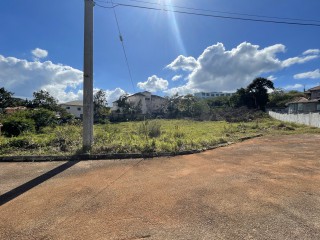 Residential lot For Sale in Cedar Grove, Manchester, Jamaica