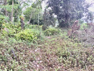 Residential lot For Sale in Old Stony Hill Road, Kingston / St. Andrew Jamaica | [7]