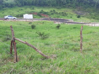 Residential lot For Sale in Newport, Manchester Jamaica | [12]