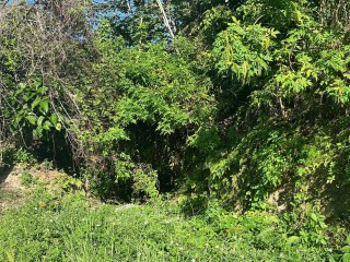 Residential lot For Sale in Rio Nievo, St. Mary, Jamaica