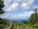Residential lot For Sale in Norwick, Portland Jamaica | [2]