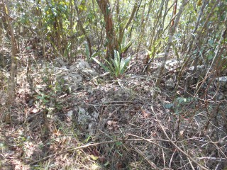 Residential lot For Sale in Eldarado, St. Catherine Jamaica | [3]