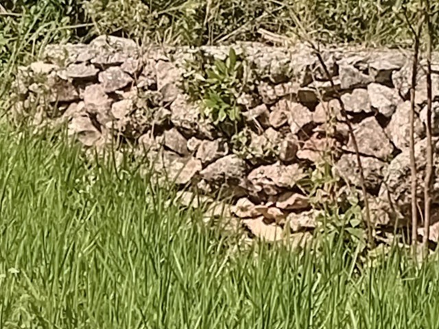 Land For Sale in Mile Gully, Manchester Jamaica | [1]