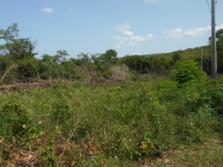 Land For Sale in Rosewell, Clarendon Jamaica | [6]