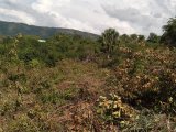 Residential lot For Sale in Sligoville, St. Catherine Jamaica | [9]