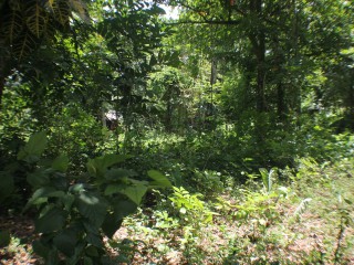 Residential lot For Sale in Santa Cruz, St. Elizabeth Jamaica | [4]