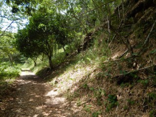 Commercial/farm land For Sale in Summer Hill, St. James Jamaica | [4]