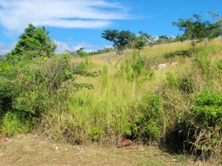 Residential lot For Sale in Kingston 19 St Andrew, Kingston / St. Andrew, Jamaica