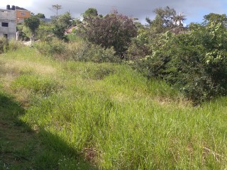 Land For Sale in Mandeville, Manchester Jamaica | [9]