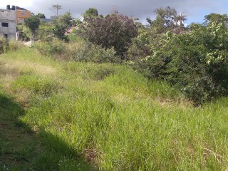 Land For Sale in Mandeville, Manchester, Jamaica