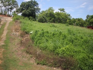 Residential lot For Sale in Santa Cruz, St. Elizabeth Jamaica | [3]
