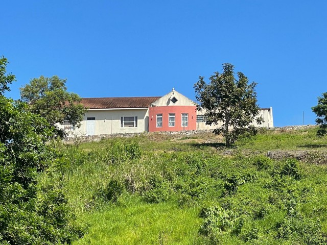 House For Sale in Three Hills, St. Mary Jamaica | [6]