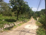 Residential lot For Sale in Mandeville, Manchester Jamaica | [6]