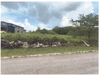 Land For Sale in Palmbrook Estate Lacovia, St. Elizabeth, Jamaica