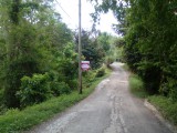 Commercial/farm land For Sale in Bethel Town, Westmoreland Jamaica | [1]